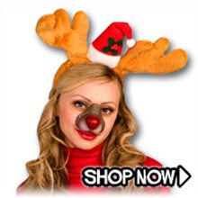 Picture for category Christmas Accessories
