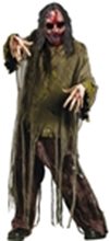 Picture for category Zombie Costumes