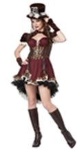 Picture for category Steampunk Costumes