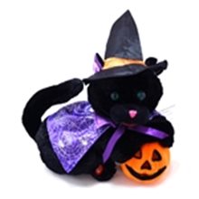 Picture for category Halloween Toys