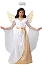 Picture for category Angel & Devil Costumes