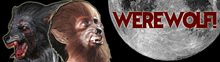 Picture for category Adult Werewolf Costumes