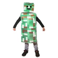 Picture for category Minecraft Costumes