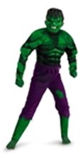 Picture for category The Hulk Costumes