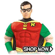 Picture for category Robin Costumes