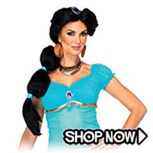 Picture for category Jasmine Costumes