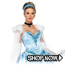 Picture for category Cinderella Costumes