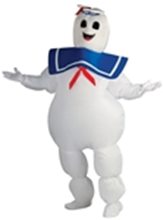 Picture for category Inflatable Costumes