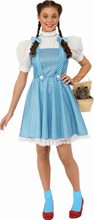 Picture of Dorothy Teen Costume