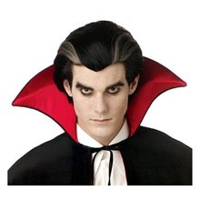 Picture of Modern Vampire Black and Grey Mens Wig