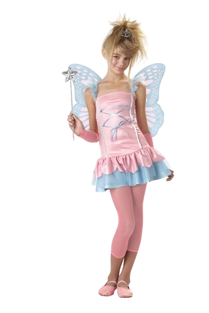 Picture of Fairy Princess Tween Costume