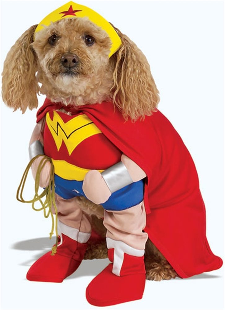 Picture of Wonder Woman Dog Costume