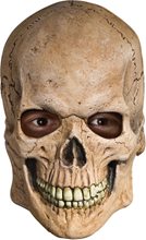 Picture of Crypt Skull Mask
