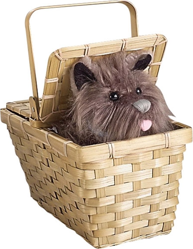 Picture of Deluxe Toto in a Basket
