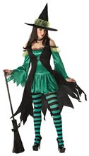 Picture of Emerald Witch Adult Womens Costume
