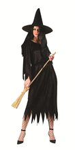 Picture of Classic Witch Adult Womens Costume
