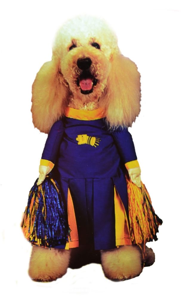 Picture of Pom Pom Pet Costume