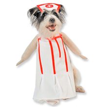 Picture of Nurse Pet Costume