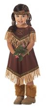 Picture of Lil Indian Princess Toddler Costume