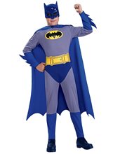 Picture of Batman Grey/Blue Eco Child Costume