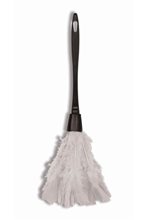 Picture of Feather Duster