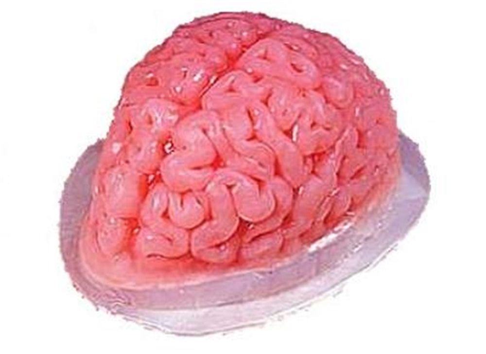 Picture of Brain Gelatin Mold