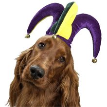 Picture of Jolly Jester Hat Pet Costume