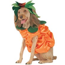 Picture of Pumpkin Patch Pooch Pet Costume