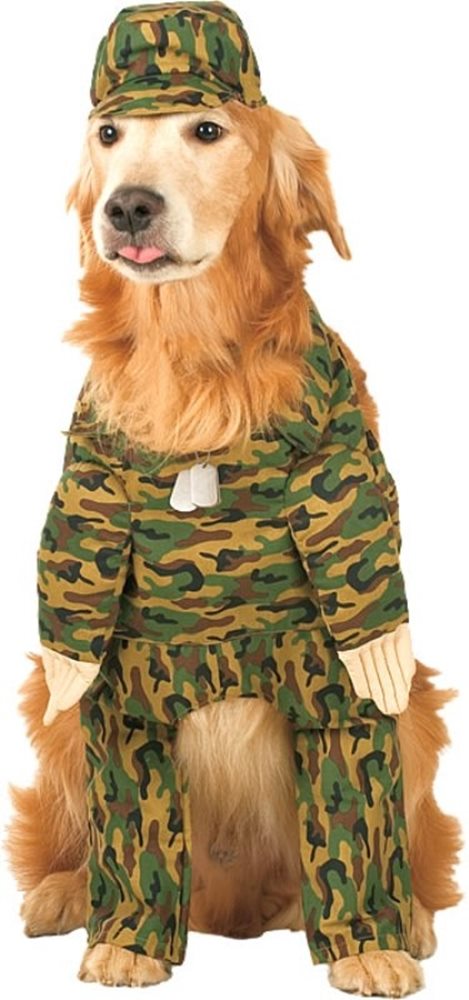 Picture of Rambark Army Pet Costume