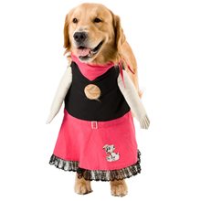 Picture of 50s Fifi Pet Costume
