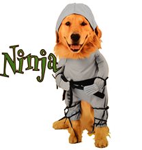 Picture of Ninja Dog Costume