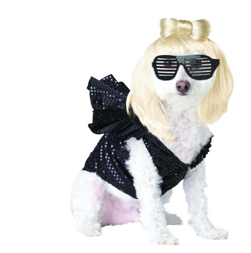 Picture of Lady Gaga Pet Costume