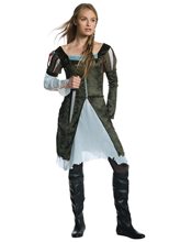 Picture of Snow White Adult Womens Costume