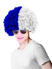 Picture of Los Angeles Dodgers Costume Wig Adult