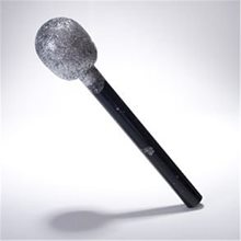 Picture of Glitter Microphone
