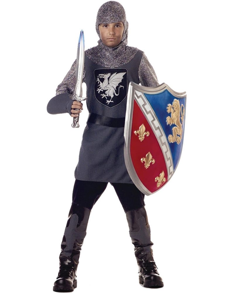Picture of Valiant Knight Child Costume