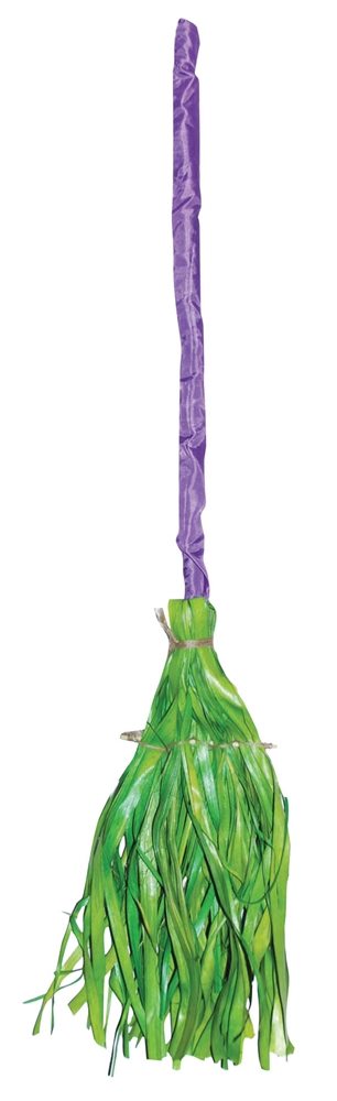 Picture of Colorful Broom (More Colors)