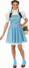Picture of Dorothy Adult Womens Costume