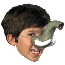 Picture of Elephant Child Nose with Tusks