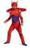 Picture of Big Hero 6 Deluxe Red Baymax Child Costume