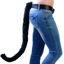 Picture of Black Cat Tail