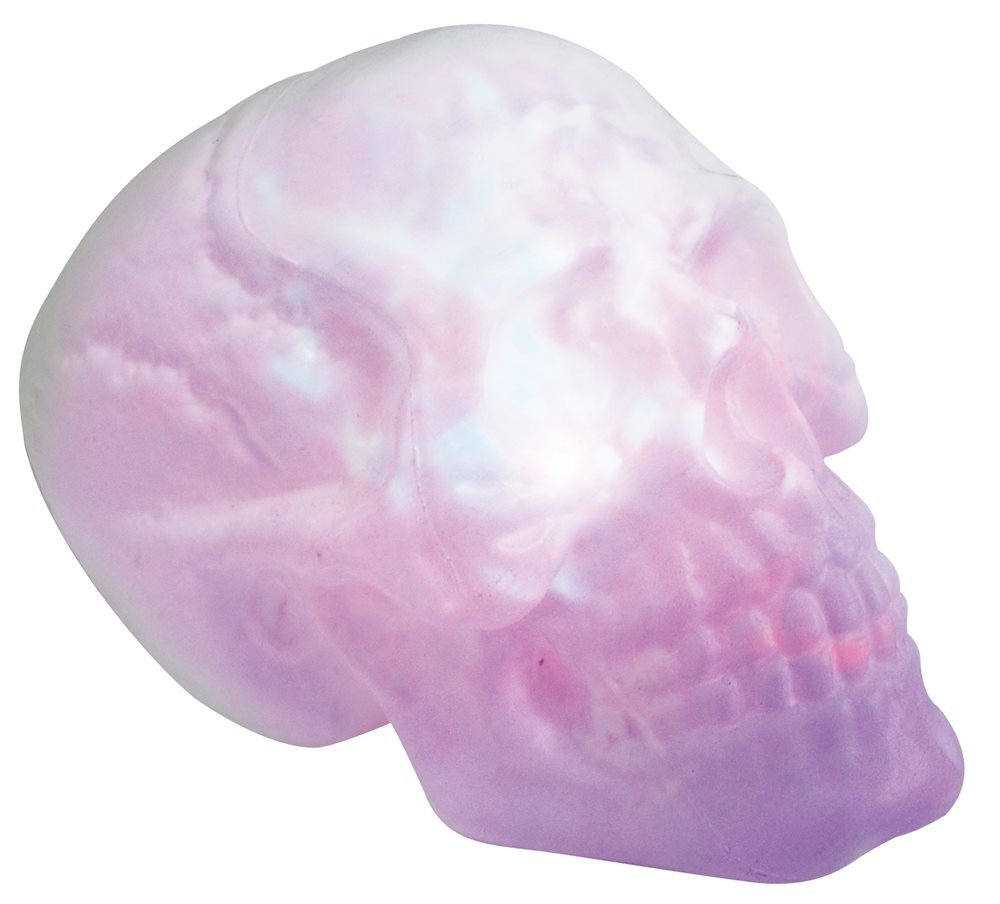 Picture of Fire & Ice Giant Skull