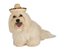 Picture of Straw Sombrero Pet Hat