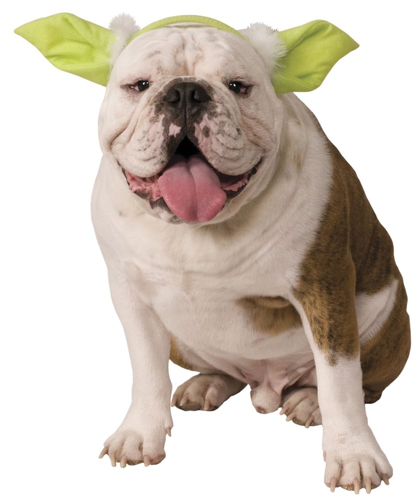 Picture of Star Wars Yoda Ears Dog Headband