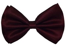Picture of Burgundy Bow Tie