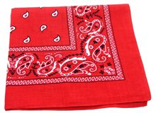 Picture of Red Paisley Bandana