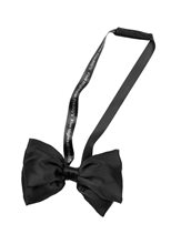 Picture of Five Nights at Freddy's Freddy Bow Tie