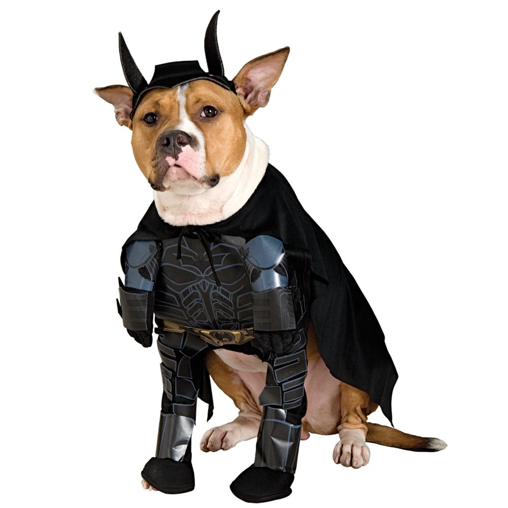 Picture of Batman Dark Knight Pet Costume