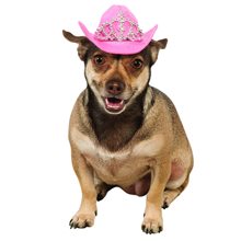 Picture of Pink Tiara Cowgirl Pet Hat