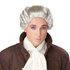 Picture of 18th Century Peruke Adult Wig